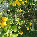 Frühstückspension L'arche De Jo
