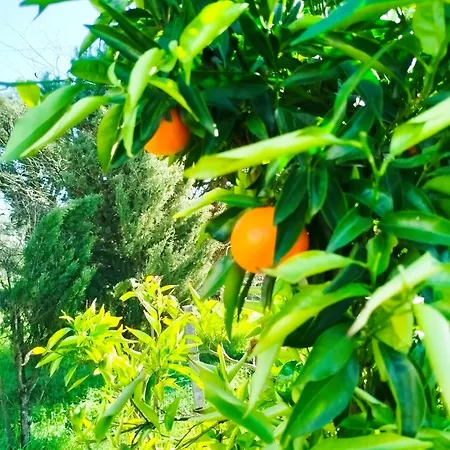 住宿加早餐酒店 L'arche De Jo Santana (Coimbra)