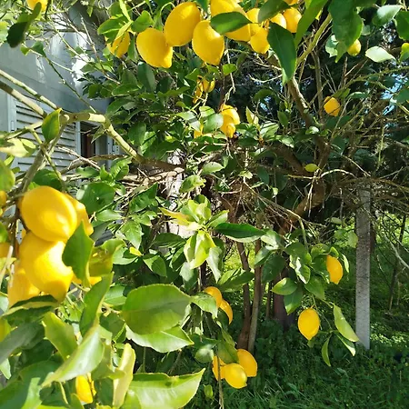 לינה וארוחת בוקר L'arche De Jo