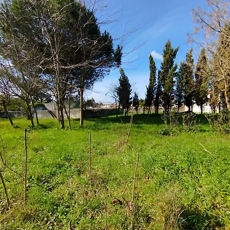 Panzió L'arche De Jo *