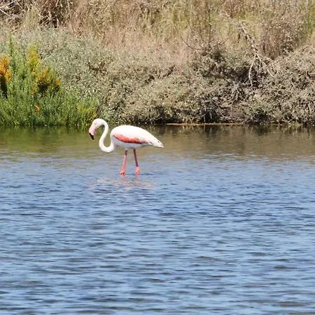 L'arche De Jo * Santana (Coimbra)