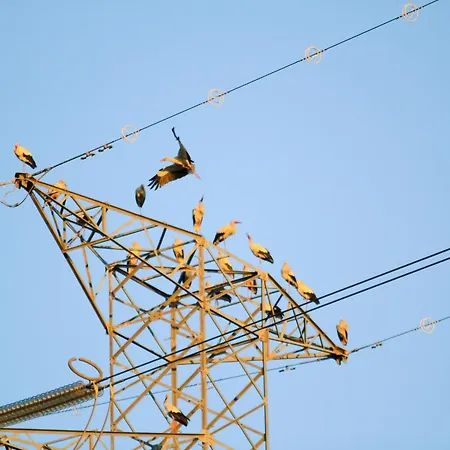 L'arche De Jo 住宿加早餐酒店 Santana (Coimbra)