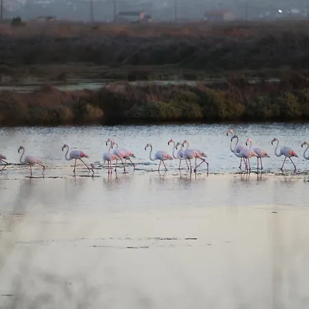 住宿加早餐酒店 L'arche De Jo Santana (Coimbra)
