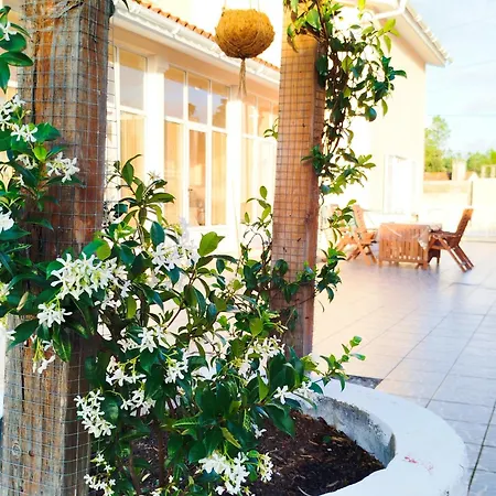 L'arche De Jo Santana (Coimbra)