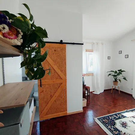 L'arche De Jo * Santana (Coimbra)