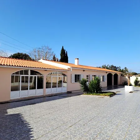 L'arche De Jo Santana (Coimbra)