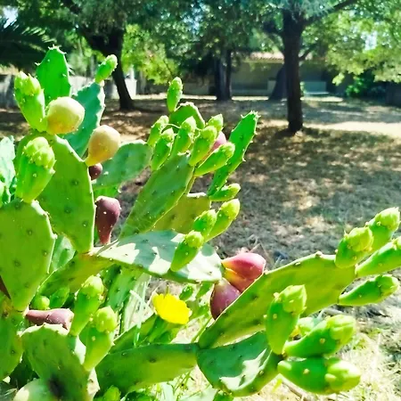 לינה וארוחת בוקר L'arche De Jo