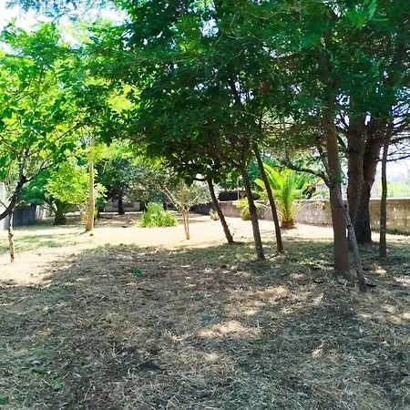 לינה וארוחת בוקר L'arche De Jo Santana (Coimbra)
