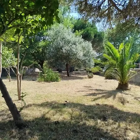 L'arche De Jo 3*