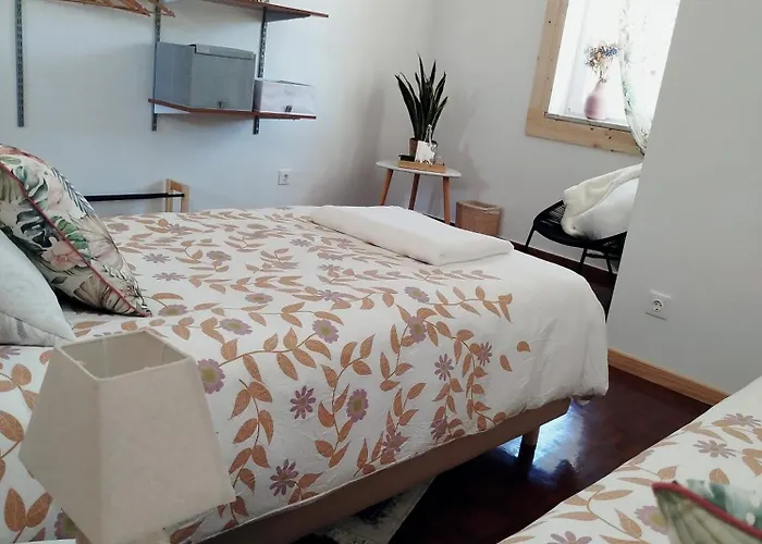 L'arche De Jo Santana (Coimbra)