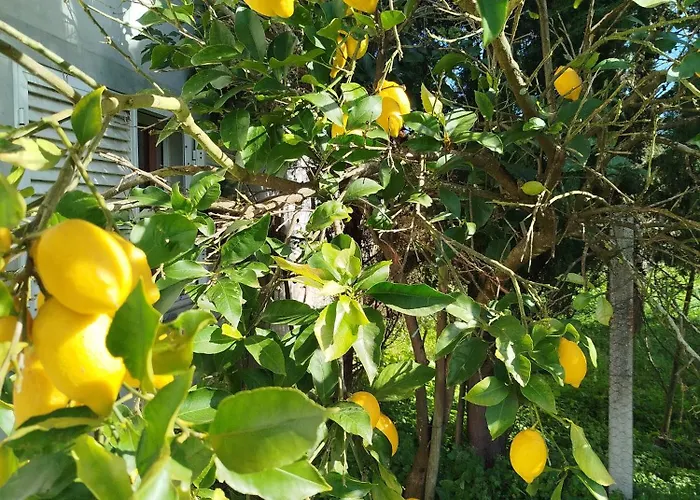 Panzió L'arche De Jo