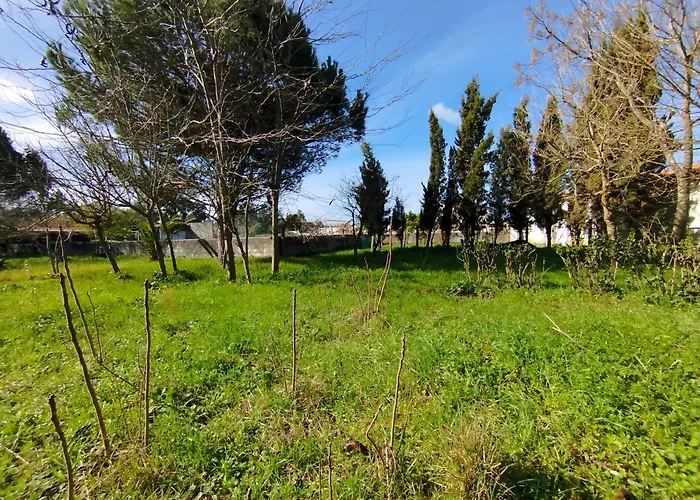Bed & Breakfast L'arche De Jo *