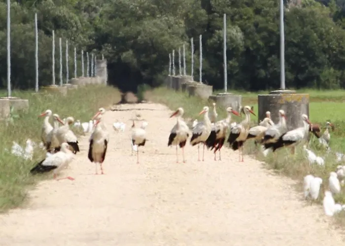 L'arche De Jo * Santana (Coimbra)