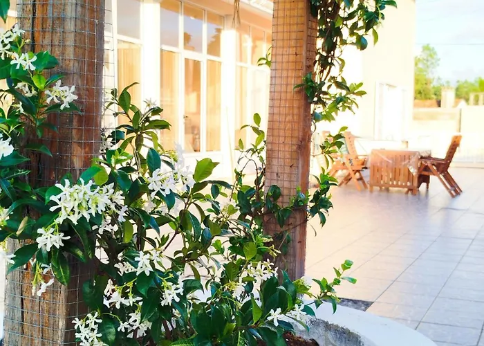 L'arche De Jo Santana (Coimbra)