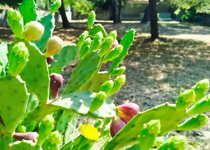 Panzió L'arche De Jo