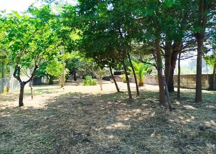 Panzió L'arche De Jo Santana (Coimbra)