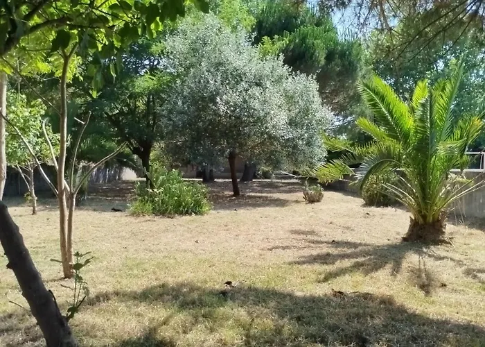 L'arche De Jo *